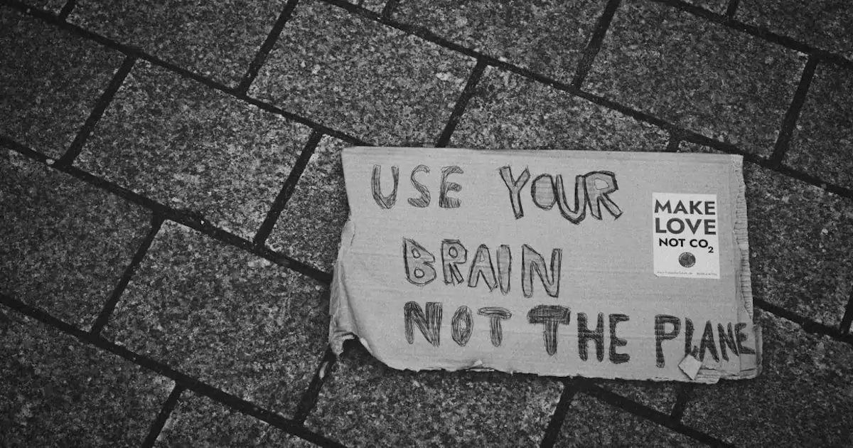 Read more about the article 6 Iniciativas sostenibles con las que poner en valor tu alma activista